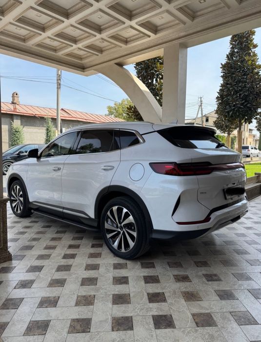 BYD chempion 2025