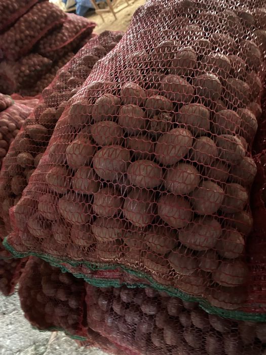 De vânzate cartofi pentru animale