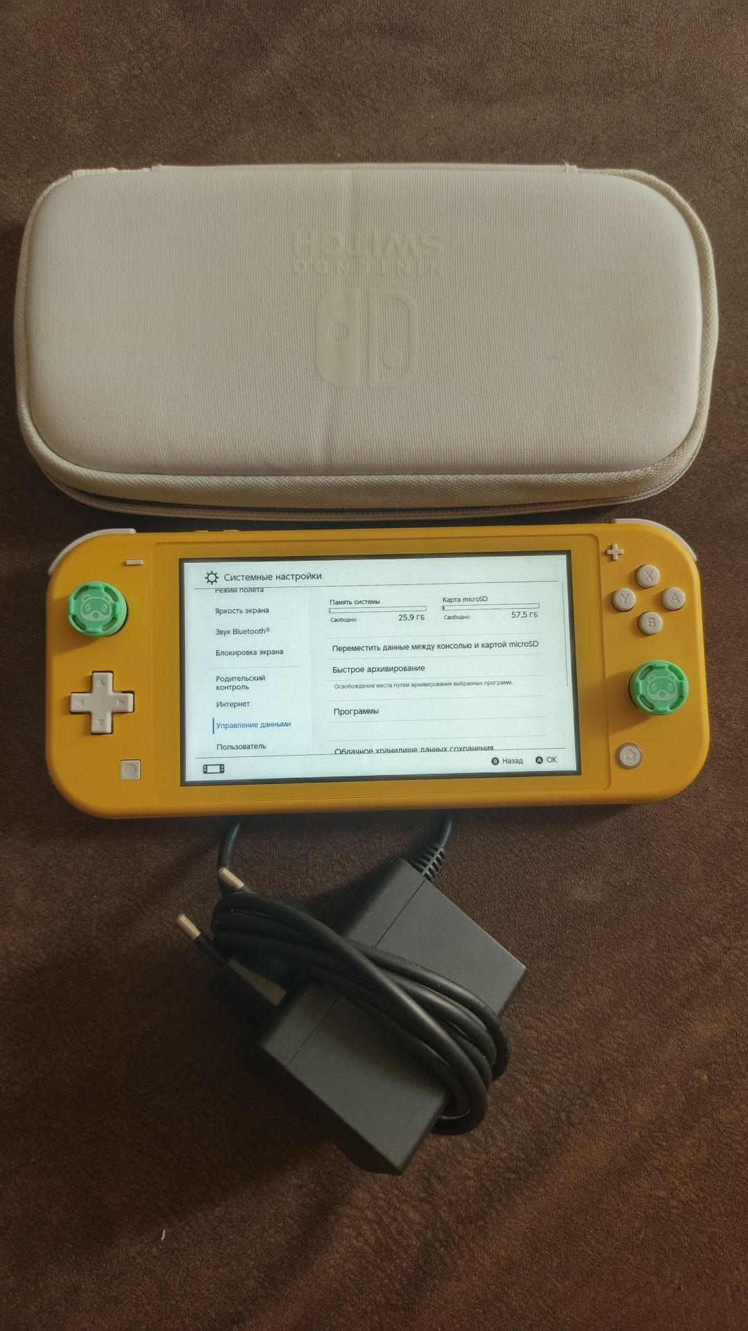 Nintendo switch lite