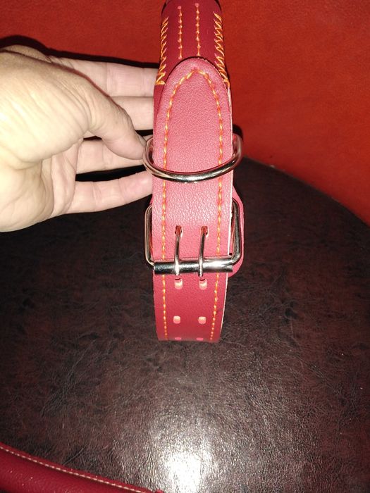 Lesa caini și zgarda set