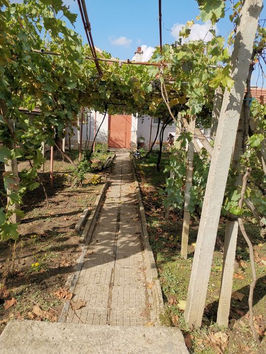 Продавам къща в село Пелишат, Плевенско