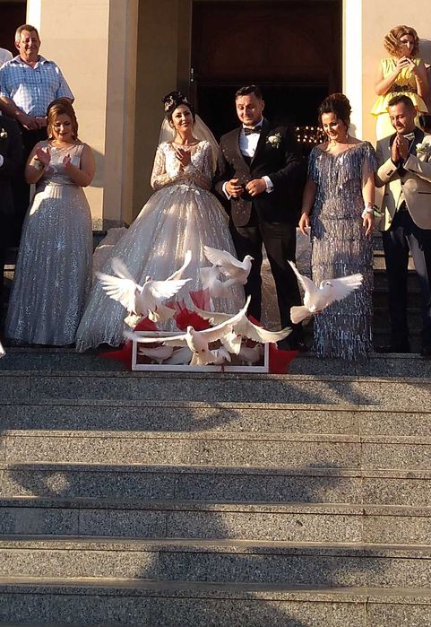 Porumbei Albi Nunta Arad