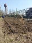 Solar - ARCADE DUBLE - FERME, de la 300 lei / buc