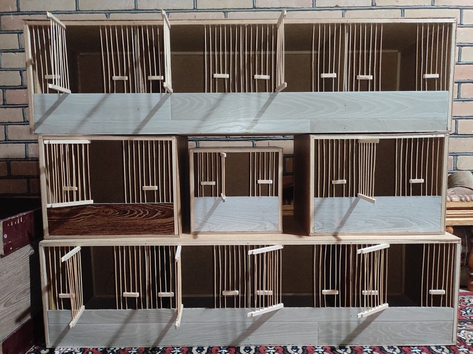 Italiya bedona makiyonlari uchun qafaslar sotiladi