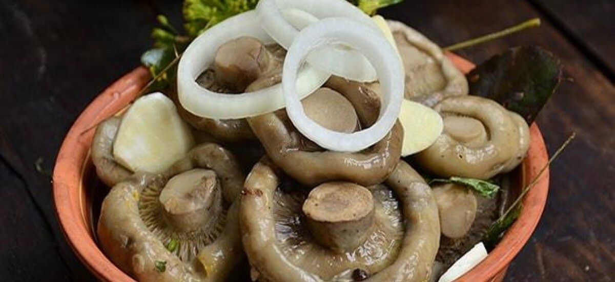 Продам грибы грузди, маслята, валуи