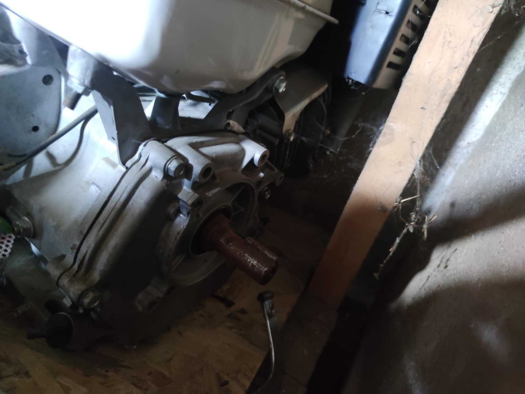Motor 13 cai  ca nou