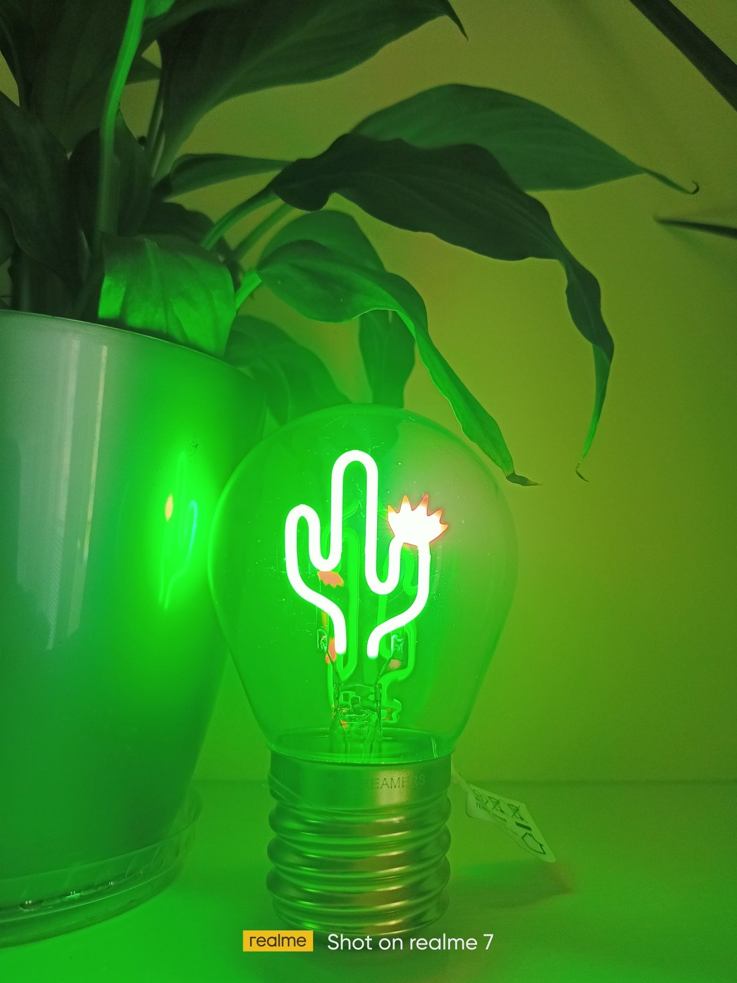 Bulb fiction Cactus лед филаментна акумулаторна крушка кактус