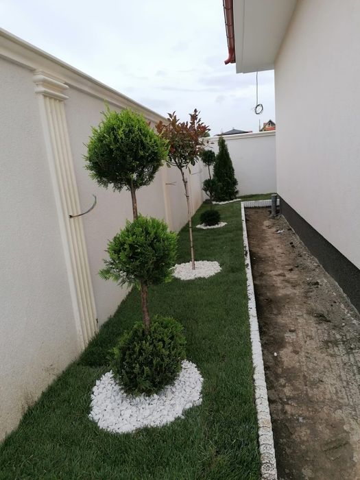 Gazon premium plante ornamentale piatră naturală sistem de irigații