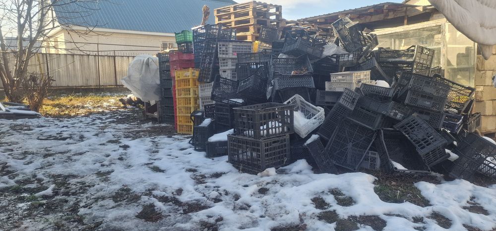 Продам пластиковые ящики.