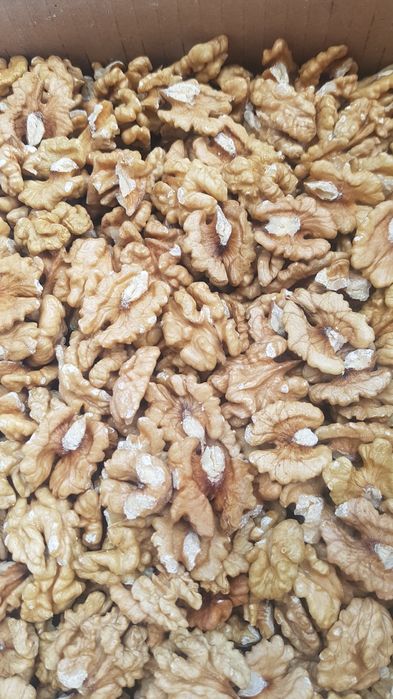 MIEZ DE NUCĂ jumătăți cal 1