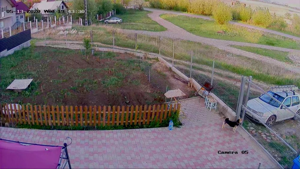 Sisteme de supraveghere video (echipamente, montaj, camere video)