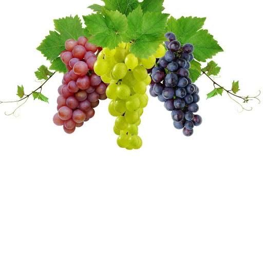 Vand struguri pentru vin