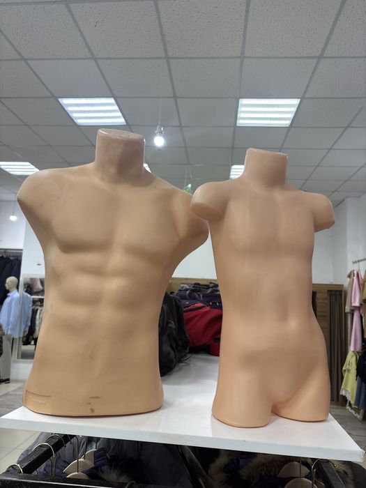Маникен верхний торс, как мужской так женский.