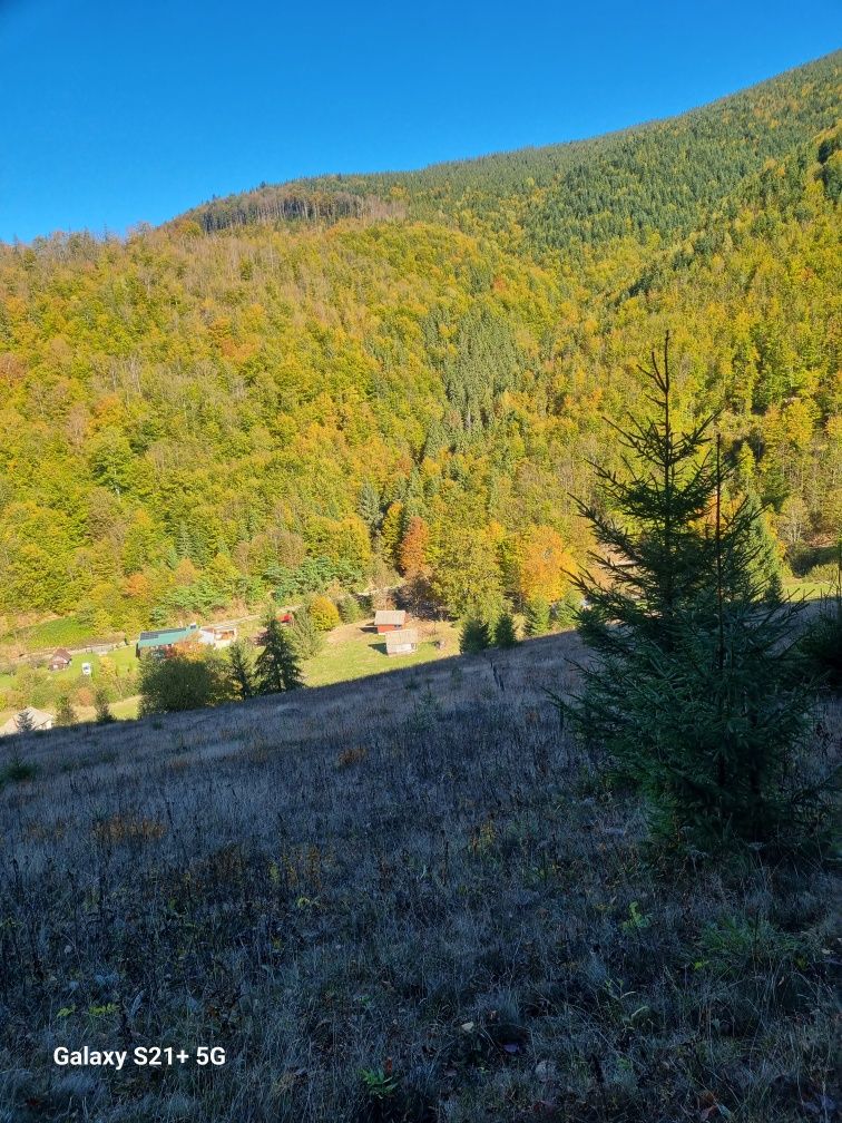 Teren Lunca Visagului