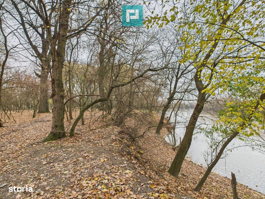 Teren spectaculos la  Periam Port