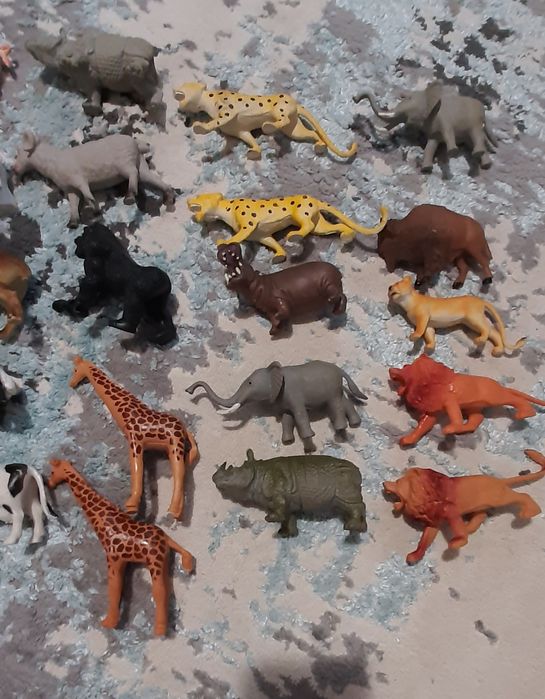 Animale domestice salbatice