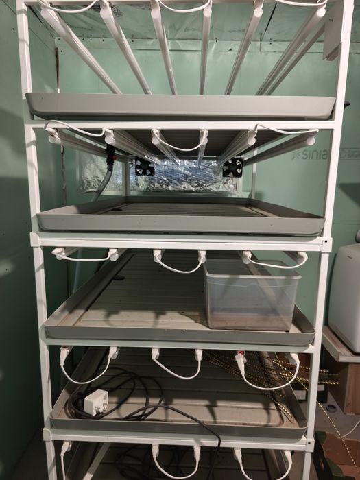 Kit complet creștere microplante