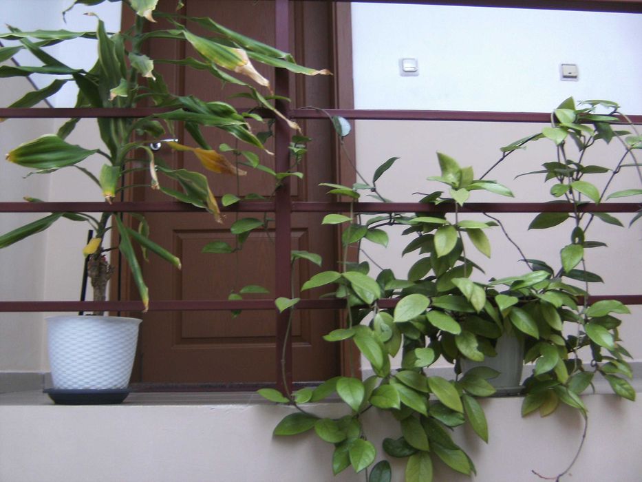 фотоапара TRAVELER DC-7900