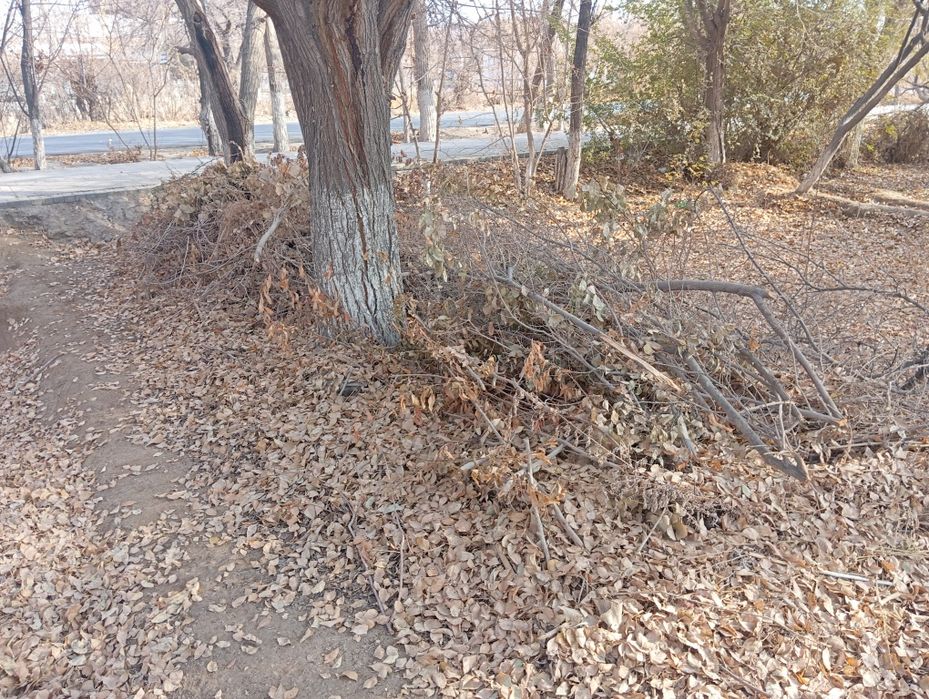 У́тинлар сотилоди