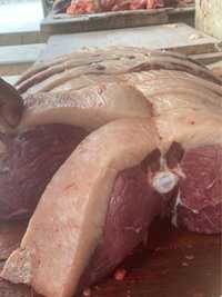 Свежее и жирное сочное мясо конины Костанай Тобыл