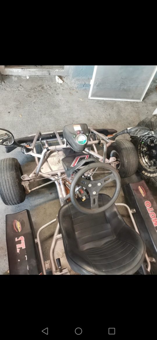 Kart/Cart F100 KREIDLER, benzina