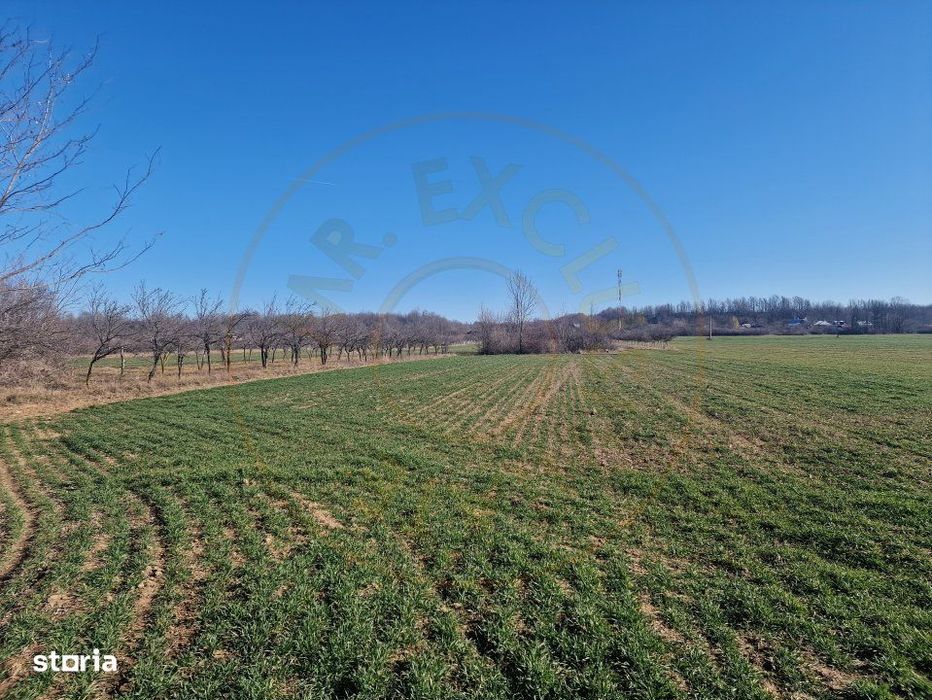 Teren intravilan comuna Sapata, Arges!