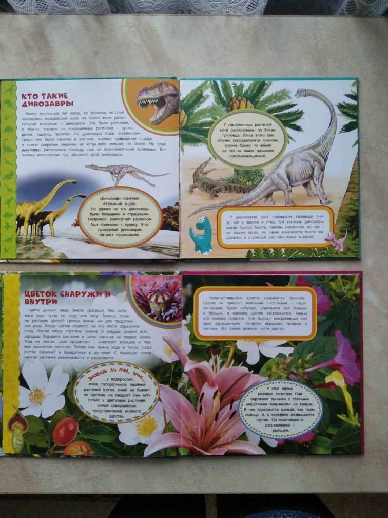 Энциклопедии о цветах и динозаврах