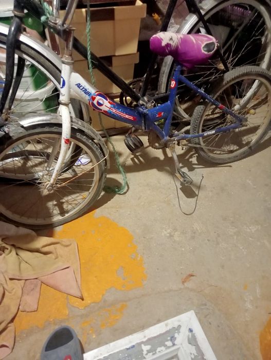 Велик жагдайы жаксы