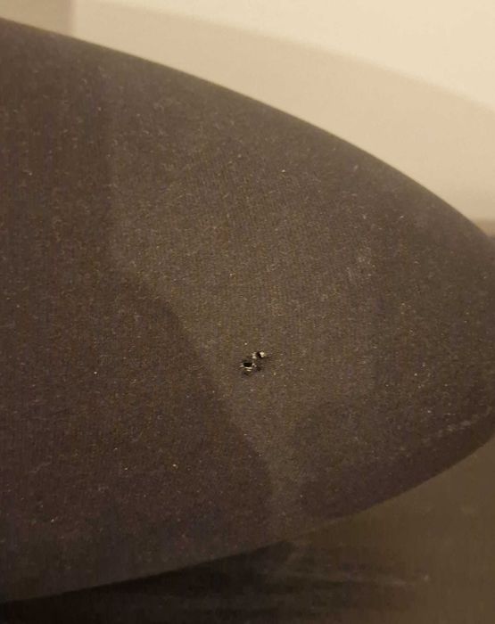 Bowers Wilkins Zeppelin Air - Boxa activa wireless