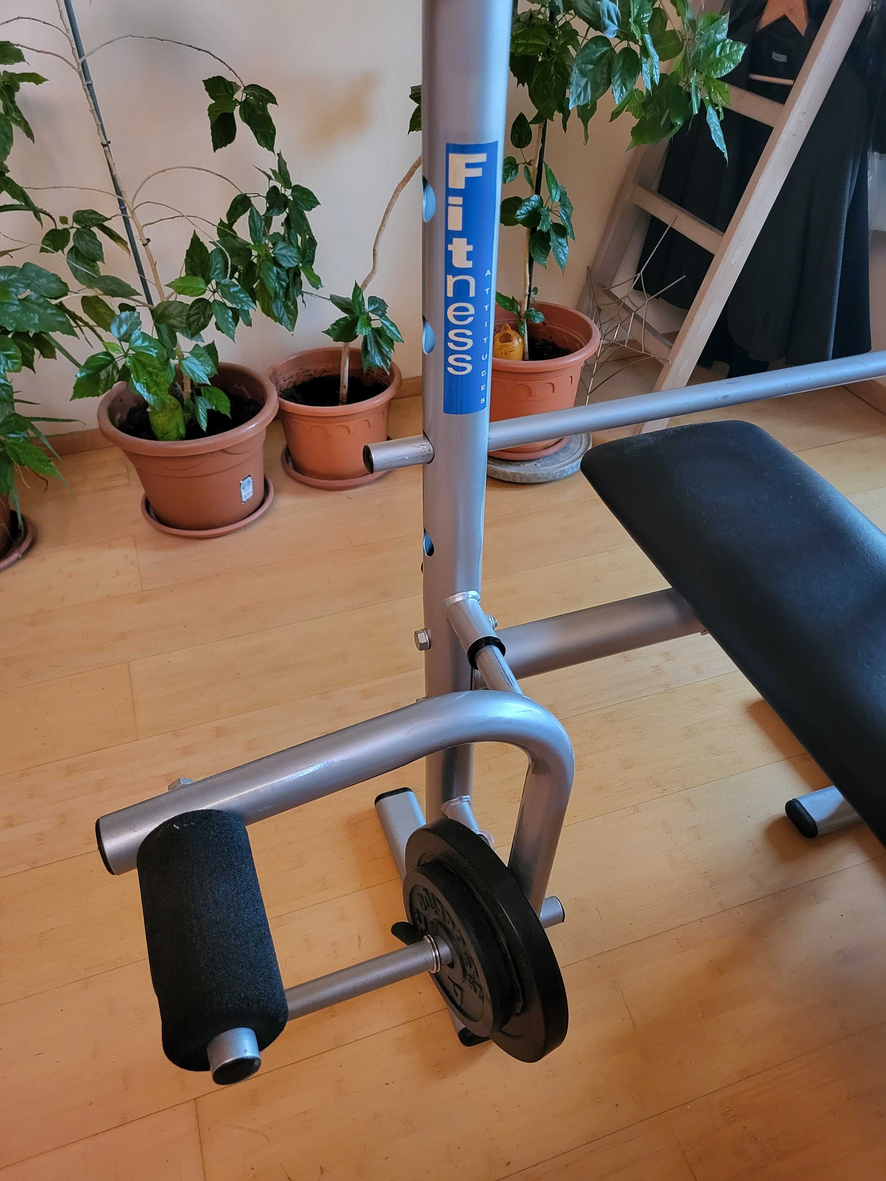 Bancheta Fitness + greutati