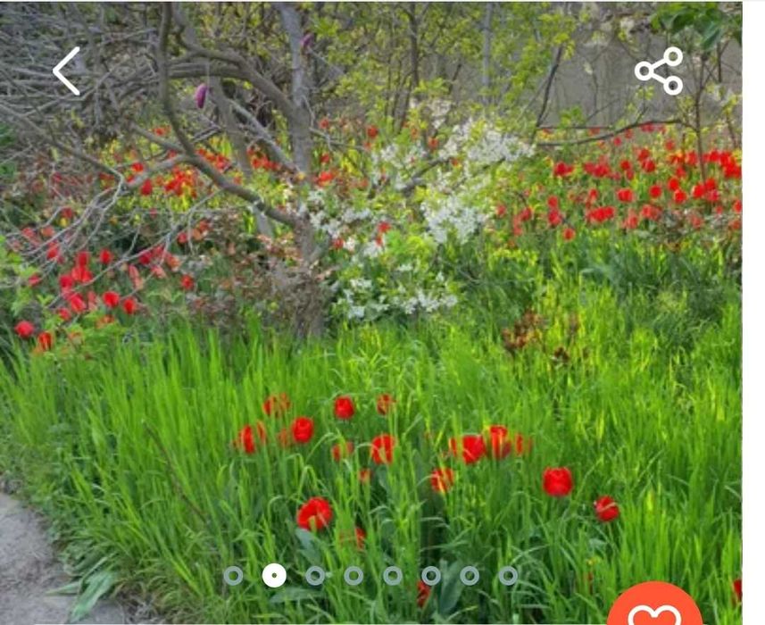 Vila Joita la Preț de Apartament