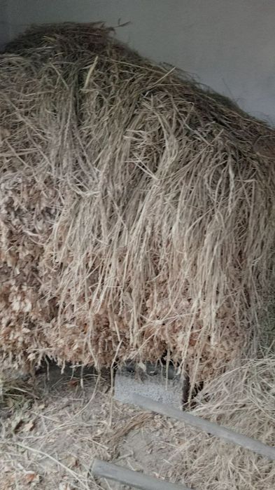 Пичан боглами 25000