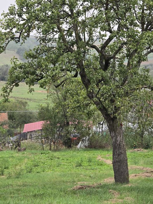 Vand casa in comuna Bethausen, sat Cladova
