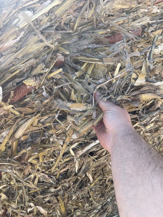 Baloti porumb , 150 x. 120