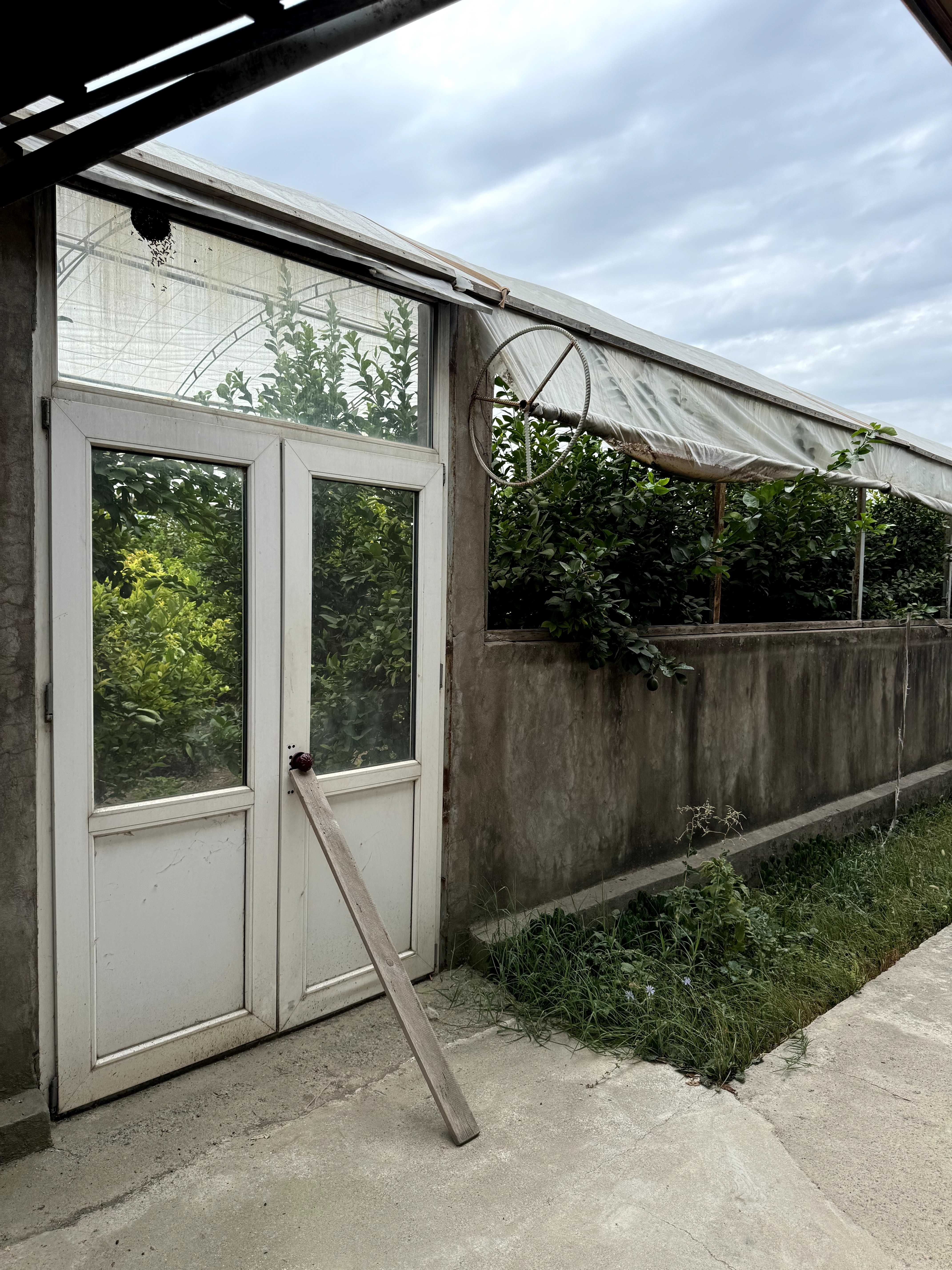 Продаётся дом в политотделе (10 соток)