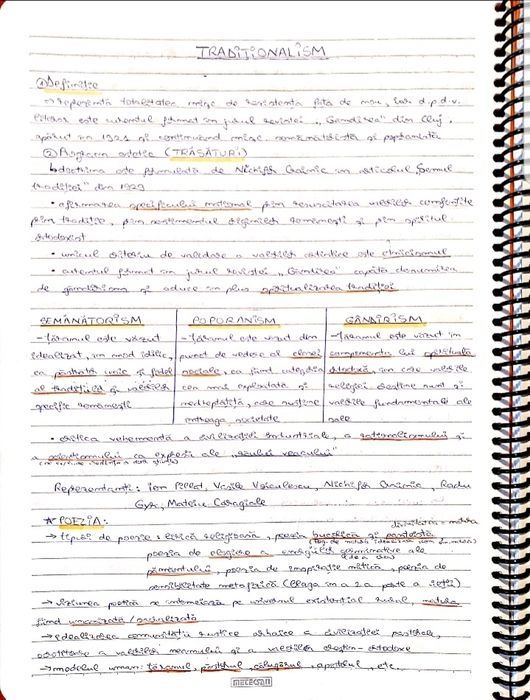 Caiet meditatii romana BAC 2025 bac de nota 10