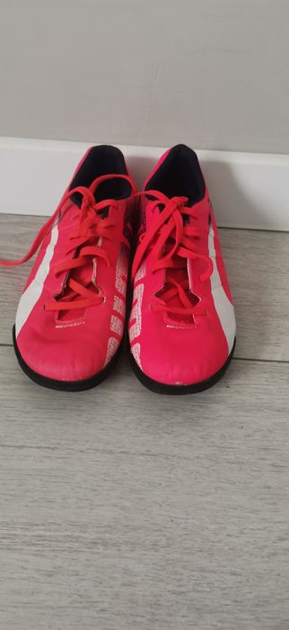 Розови стоножки на пума