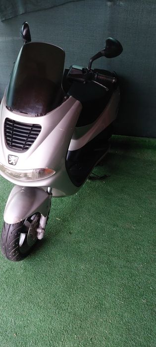 Scuter - Pegeout - Elizeou