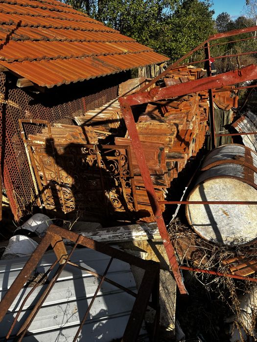 Vand tigla 1 leu bucata