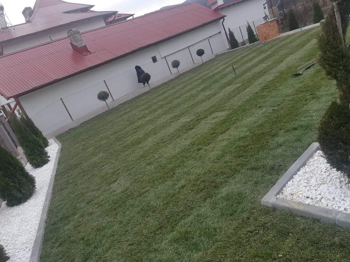 Gazon rulou si sistem de irigatii
