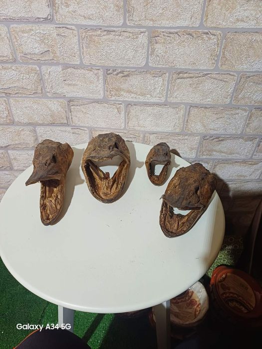 Препарирани за битов кът механа