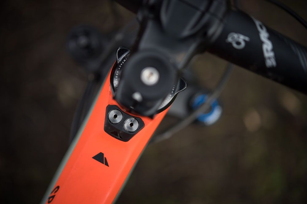 Canyon Spectral Carbon L