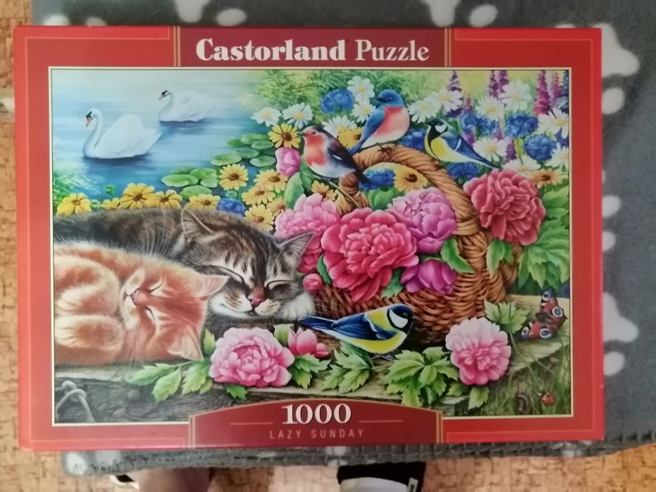 Пъзели редени от нови