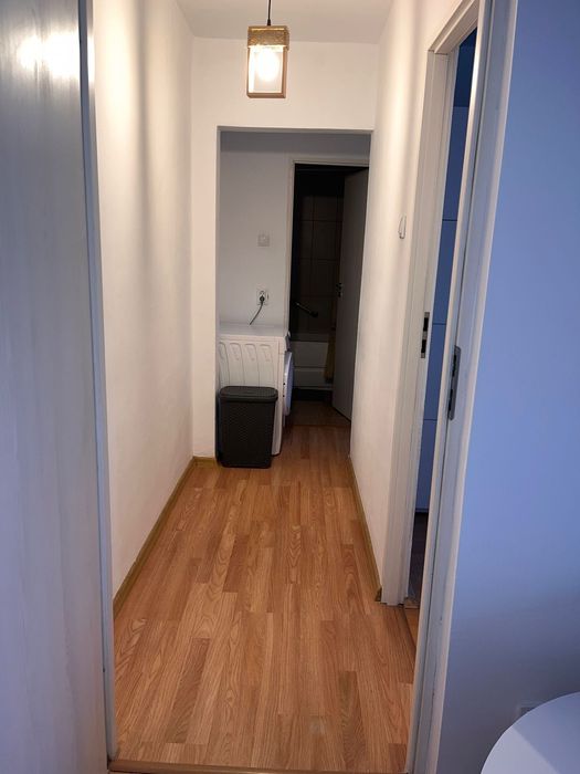 Pet Friendly! Apartament 3 Camere - strada Vasile Aaron