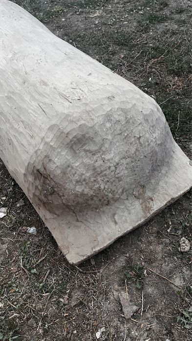 Covata foarte veche / copaie veche