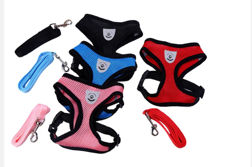 Каишка за малки кучета