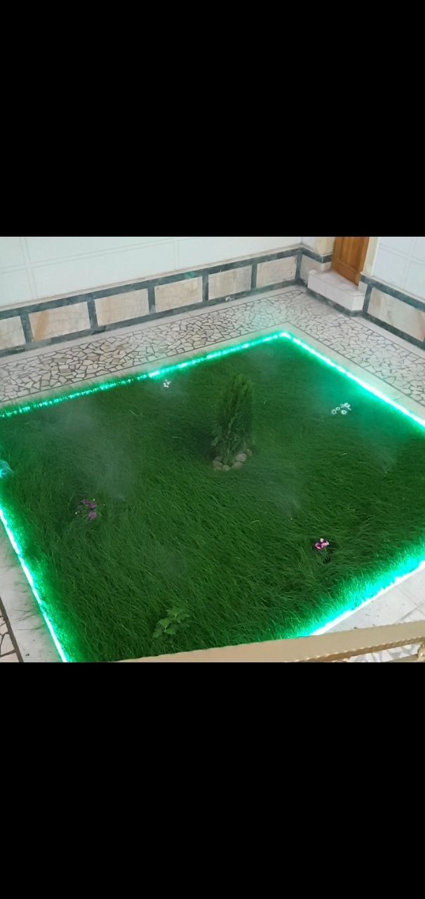 Yevropa Ispaniya oliy navli gazon urug'lari ekib ko'kartirib beriladi.