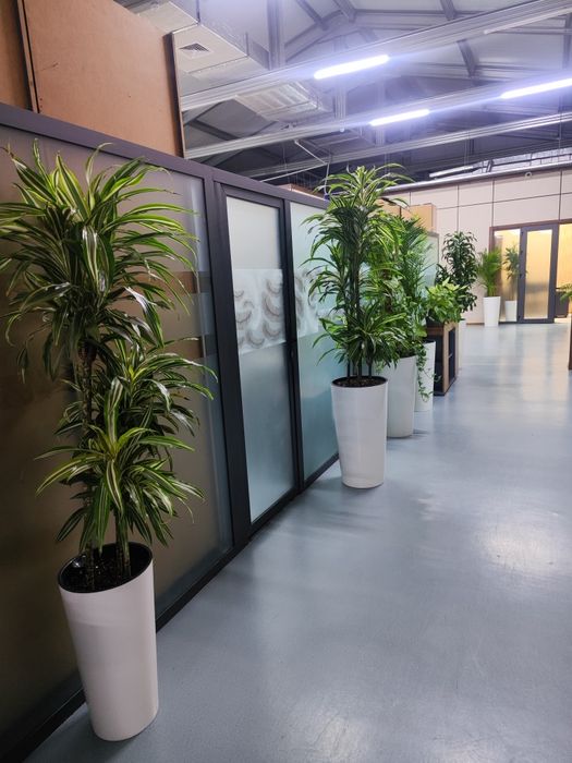 Уход за растениями