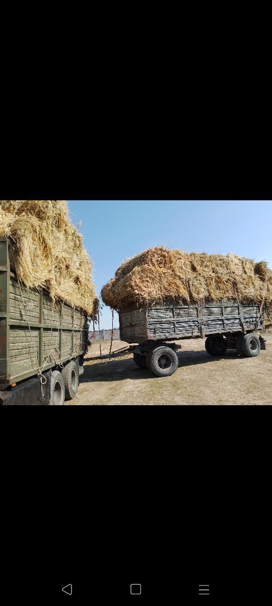 Сено шоп урлон табиги шоп урлон разнавие сатамын урлон табиги шоп сата