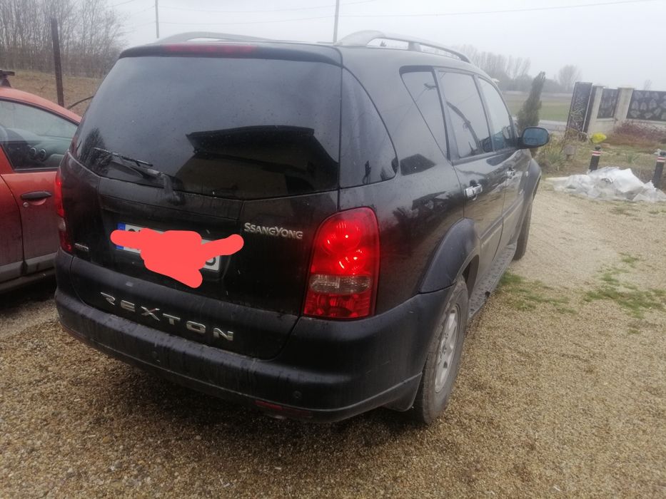 Rexton de vinzare